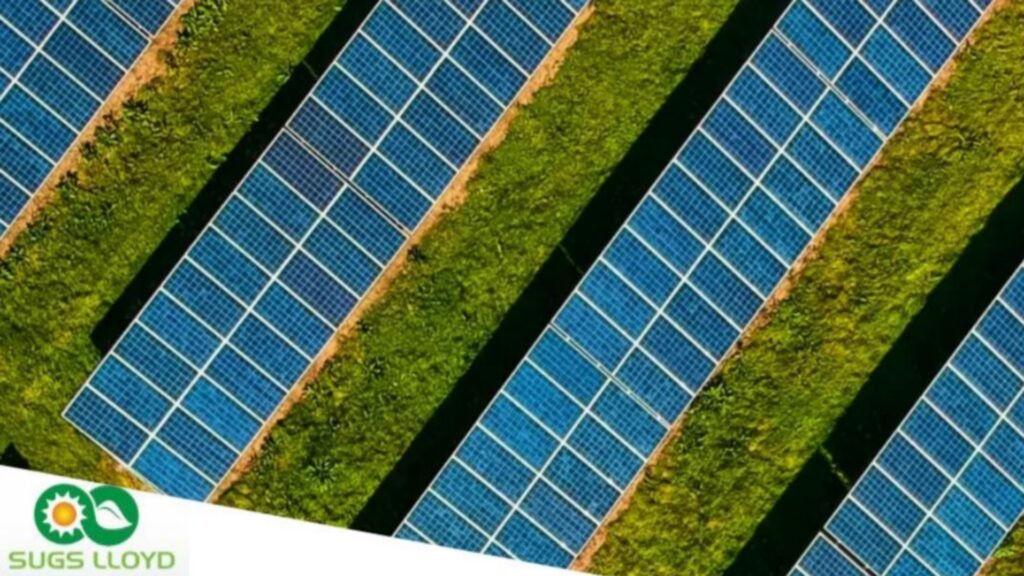 SUGS लॉयड ने ₹639 करोड़ का मेगा ऑर्डर जीता, जिससे विस्तार और राजस्व की दृश्यता में तेजी आई SUGS लॉयड ने ₹639 करोड़ का मेगा ऑर्डर जीता, जिससे विस्तार और राजस्व की दृश्यता में तेजी आई